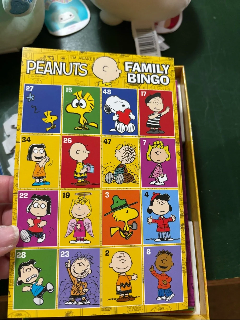 Peanuts Family Bingo -
